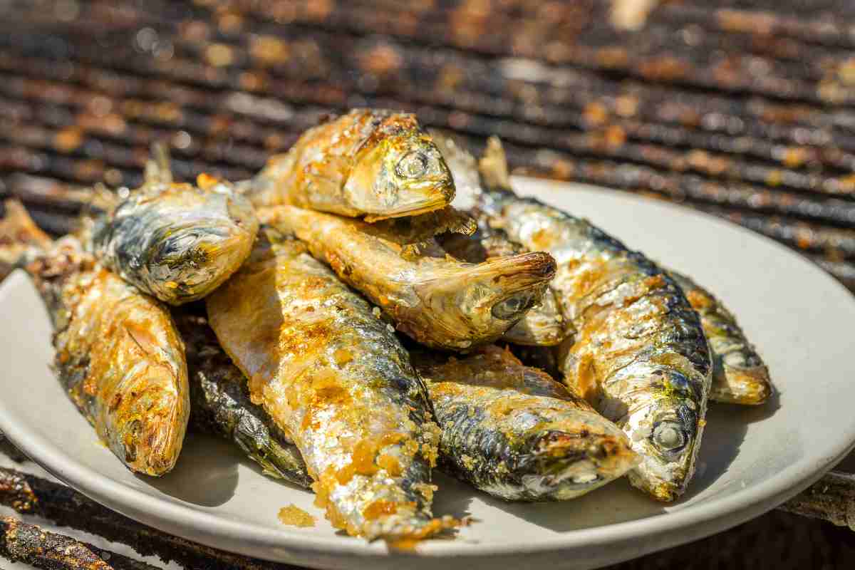 questo pesce 'dimenticato' costa 3 euro e ha tanti Omega 3