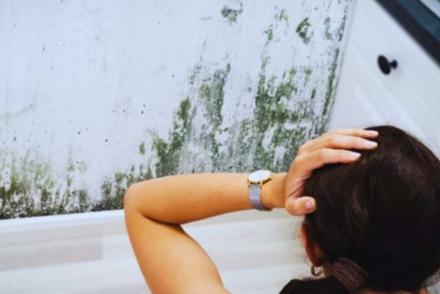 Casa salva dalla muffa: il metodo geniale